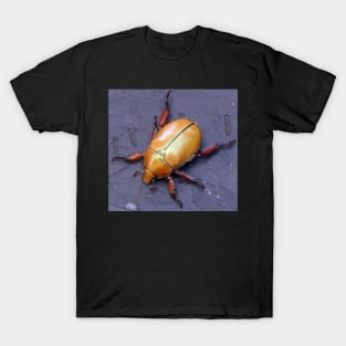 Christmas Beetle  - South Australia T-Shirt